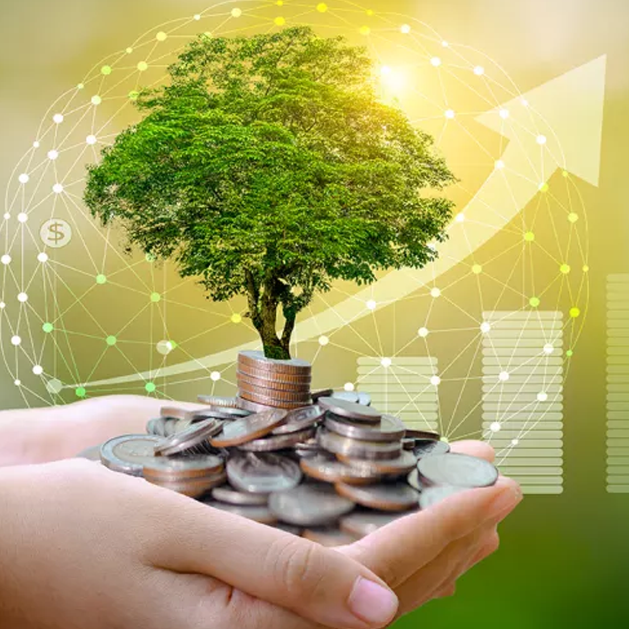 Big Finanancial Investment